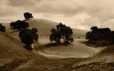 Grotte de Baume Obscure
